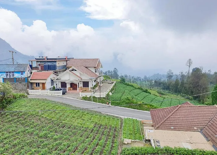 Tengger Indah Bromo Homestay At Desa Wisata Bromo Mitra Reddoorz