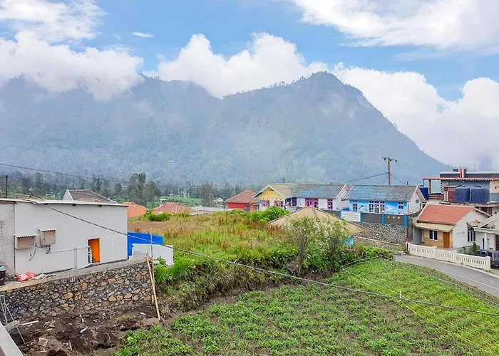 Tengger Indah Bromo Homestay At Desa Wisata Bromo Mitra Reddoorz